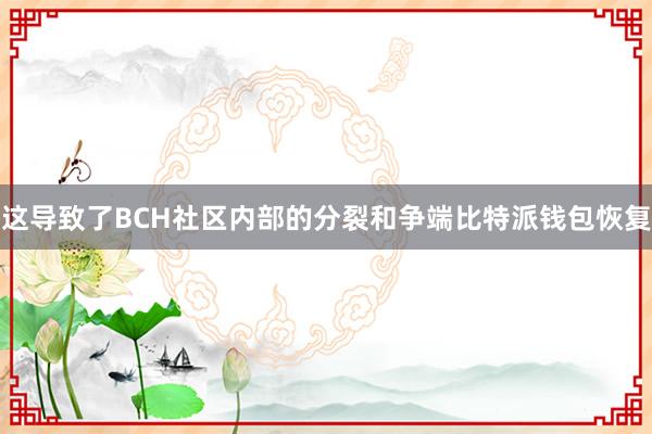 这导致了BCH社区内部的分裂和争端比特派钱包恢复