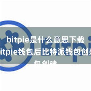 bitpie是什么意思下载Bitpie钱包后比特派钱包创建