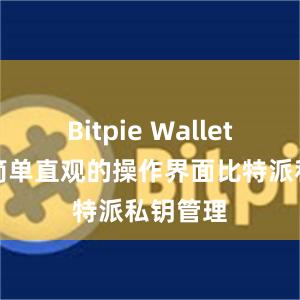 Bitpie Wallet提供了简单直观的操作界面比特派私钥管理