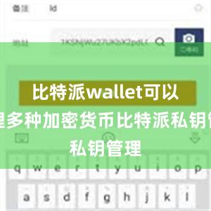 比特派wallet可以管理多种加密货币比特派私钥管理