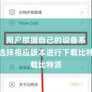 用户根据自己的设备系统选择相应版本进行下载比特派