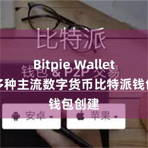 Bitpie Wallet支持多种主流数字货币比特派钱包创建