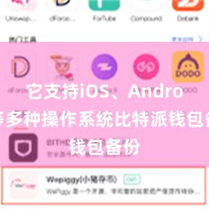 它支持iOS、Android等多种操作系统比特派钱包备份